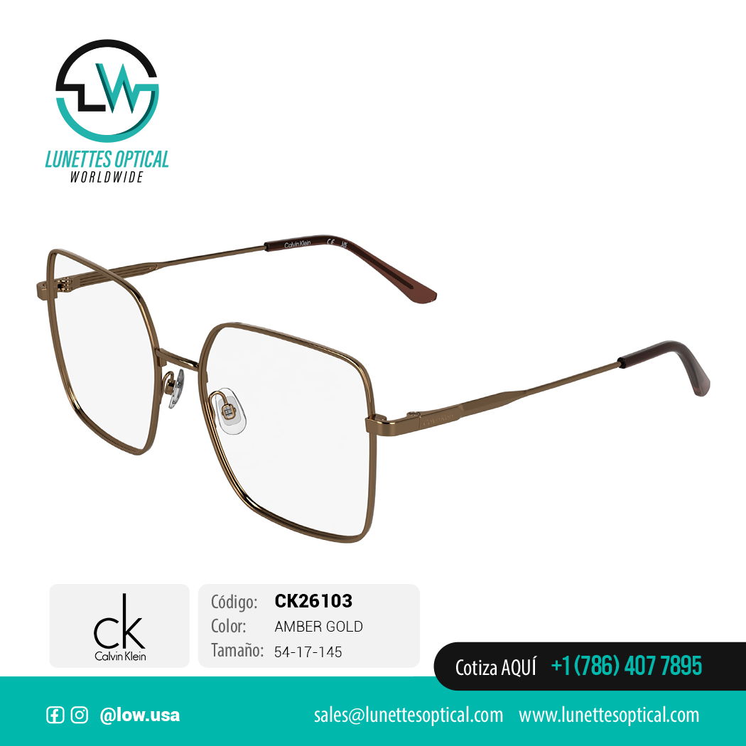 CALVIN KLEIN CK26103 AG