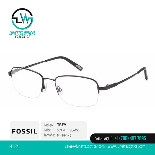 FOSSIL TREY 003