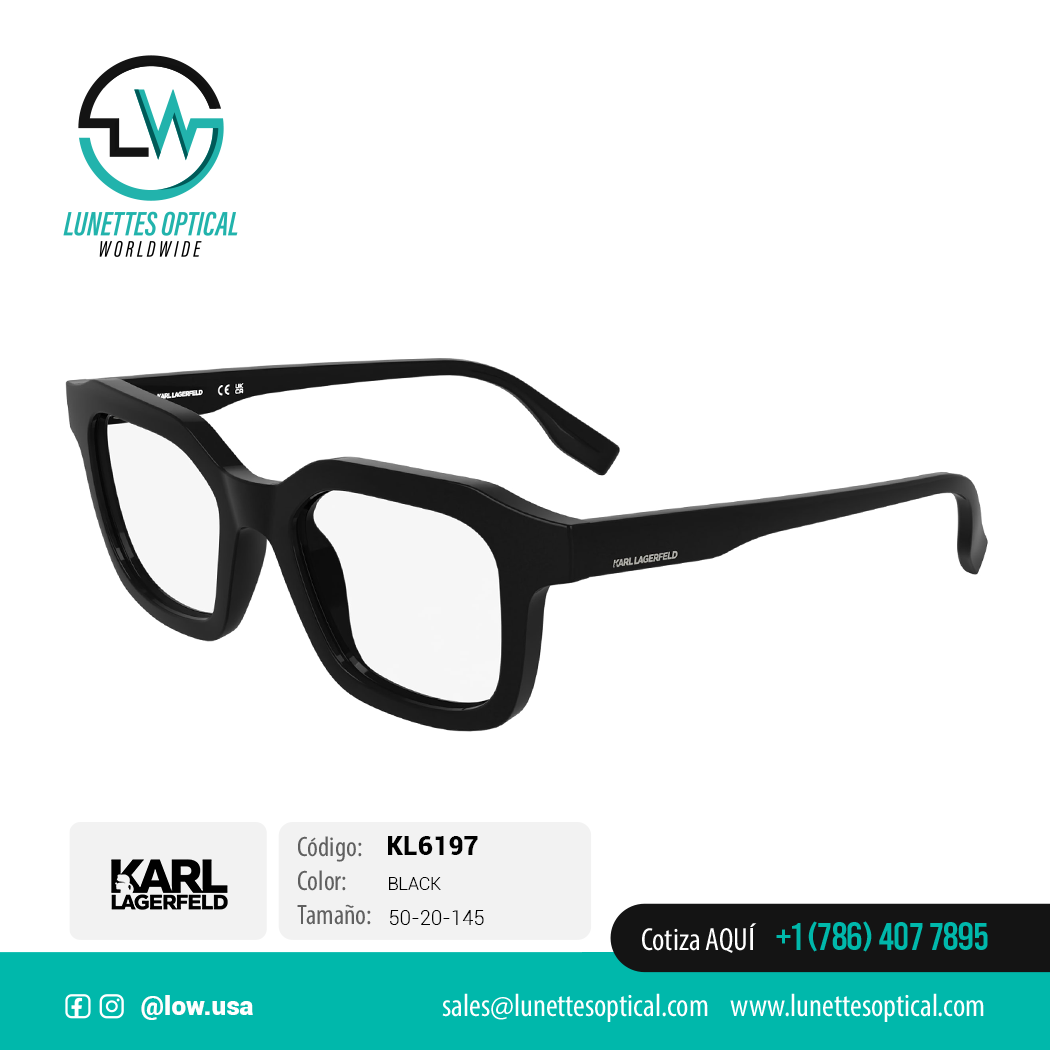 Karl KL6197